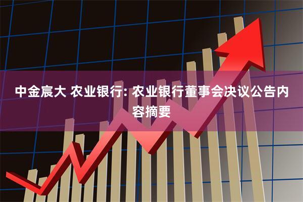 中金宸大 农业银行: 农业银行董事会决议公告内容摘要